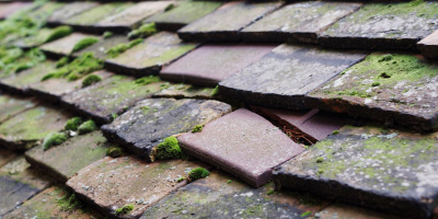West Woodhay roof repair costs